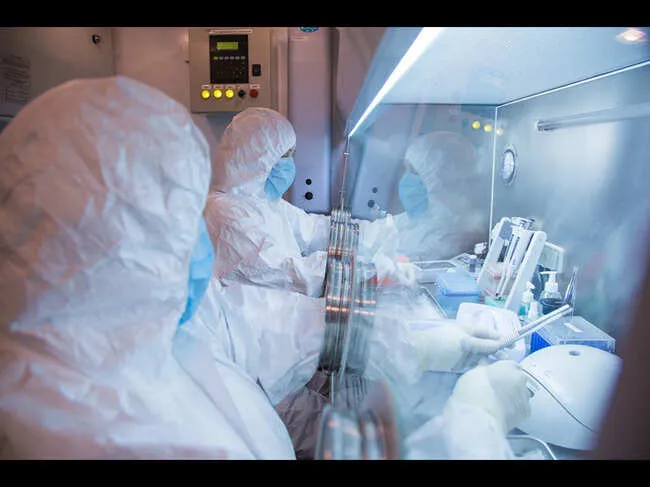 second plague case in Siberia<br>
